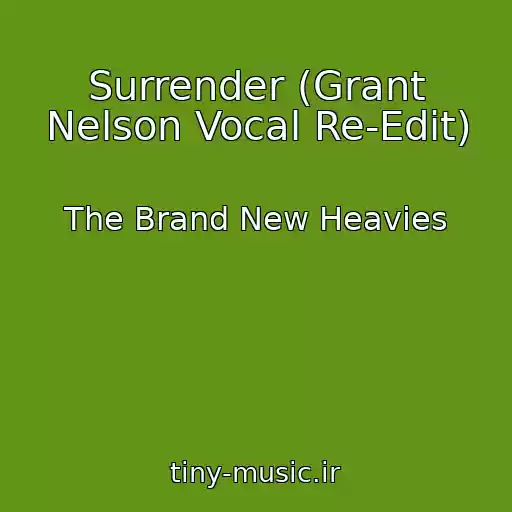 کاور آهنگ Surrender (Grant Nelson Vocal Re-Edit) از The Brand New Heavies