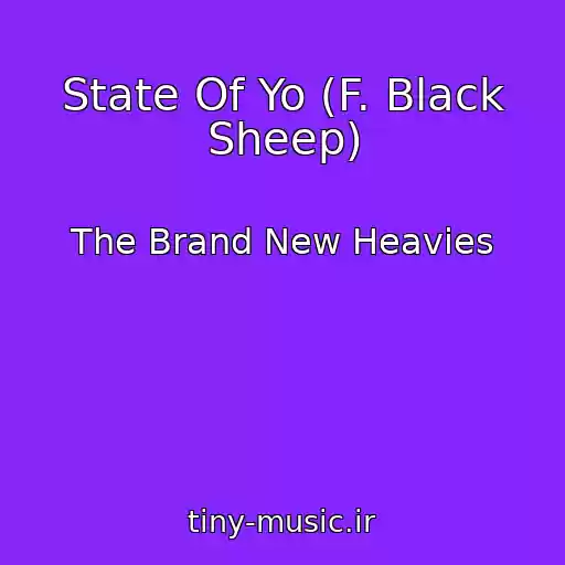 کاور آهنگ State Of Yo (F. Black Sheep) از The Brand New Heavies