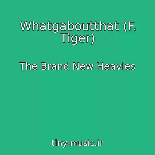 کاور آهنگ Whatgaboutthat (F. Tiger) از The Brand New Heavies
