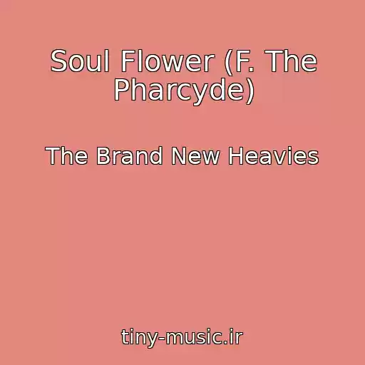 کاور آهنگ Soul Flower (F. The Pharcyde) از The Brand New Heavies