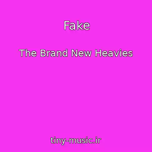 کاور آهنگ Fake از The Brand New Heavies