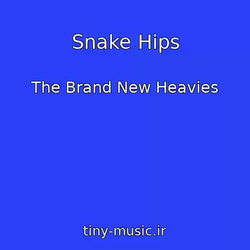 کاور آهنگ Snake Hips از The Brand New Heavies