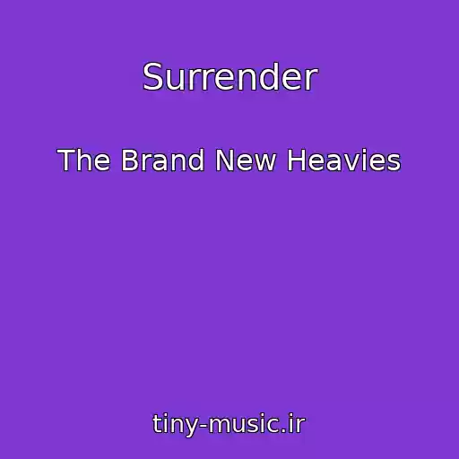 کاور آهنگ Surrender از The Brand New Heavies
