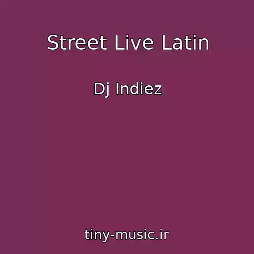 کاور آهنگ Street Live Latin از Dj Indiez