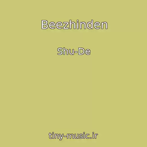 کاور آهنگ Beezhinden از Shu-De