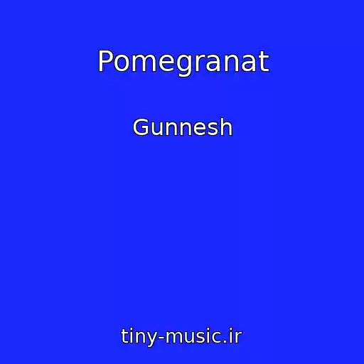 کاور آهنگ Pomegranat از Gunnesh