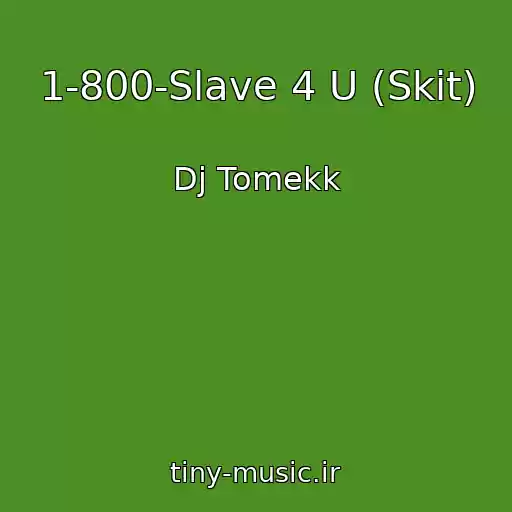کاور آهنگ 1-800-Slave 4 U (Skit) از Dj Tomekk