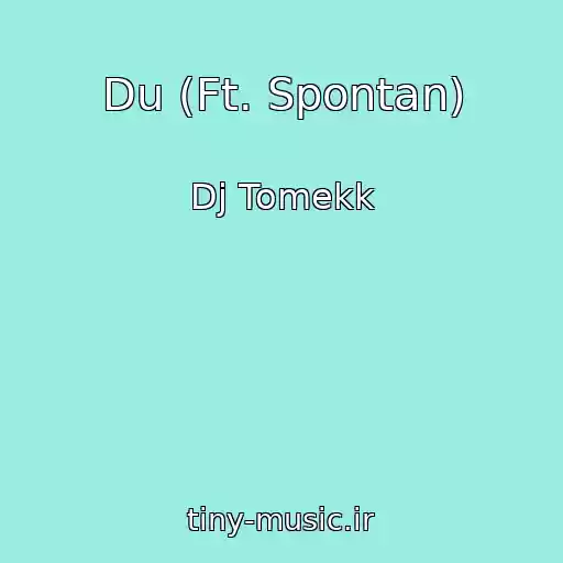 کاور آهنگ Du (Ft. Spontan) از Dj Tomekk