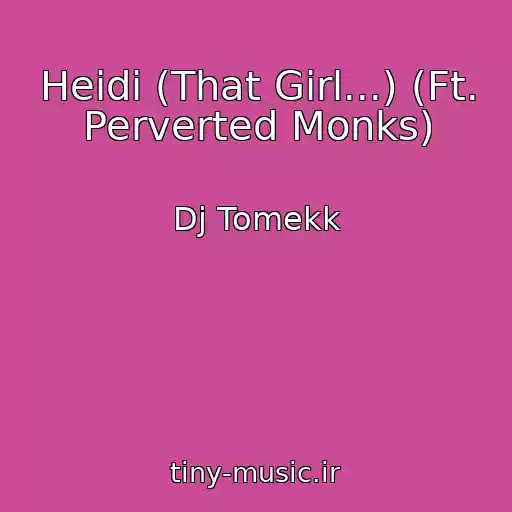 کاور آهنگ Heidi (That Girl...) (Ft. Perverted Monks) از Dj Tomekk