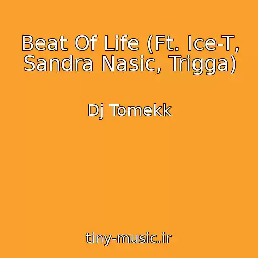 کاور آهنگ Beat Of Life (Ft. Ice-T, Sandra Nasic, Trigga) از Dj Tomekk