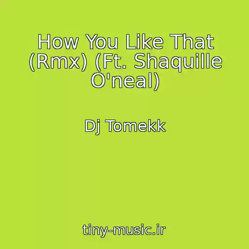 کاور آهنگ How You Like That (Rmx) (Ft. Shaquille O'neal) از Dj Tomekk