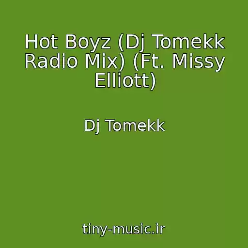 کاور آهنگ Hot Boyz (Dj Tomekk Radio Mix) (Ft. Missy Elliott) از Dj Tomekk