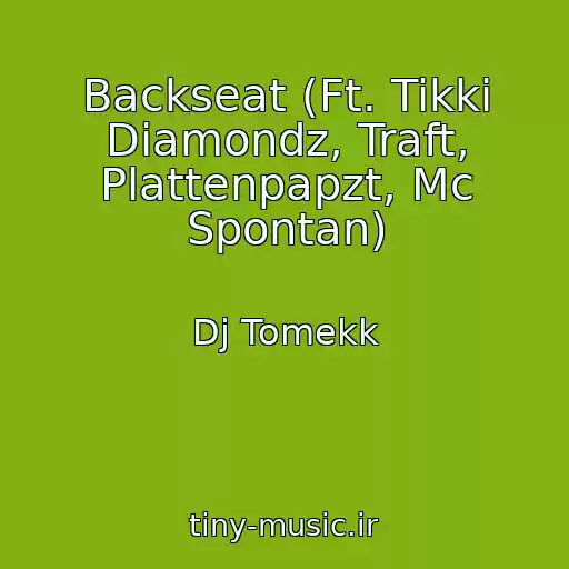 کاور آهنگ Backseat (Ft. Tikki Diamondz, Traft, Plattenpapzt, Mc Spontan) از Dj Tomekk