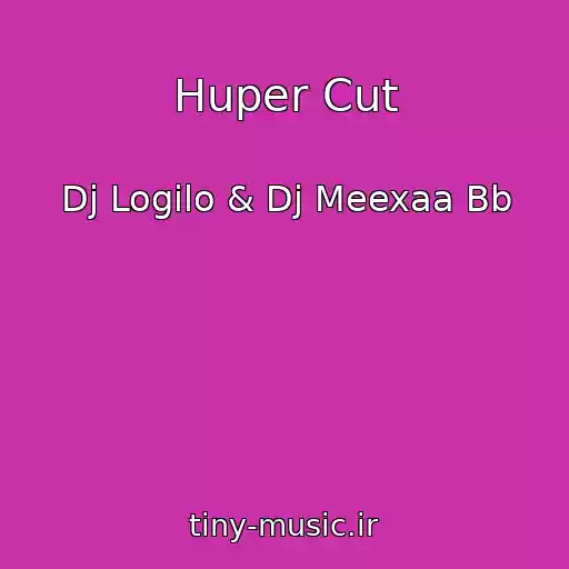کاور آهنگ Huper Cut از Dj Logilo & Dj Meexaa Bb