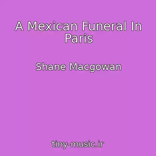 کاور آهنگ A Mexican Funeral In Paris از Shane Macgowan