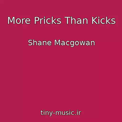 کاور آهنگ More Pricks Than Kicks از Shane Macgowan