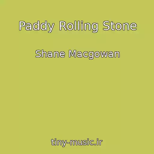 کاور آهنگ Paddy Rolling Stone از Shane Macgowan