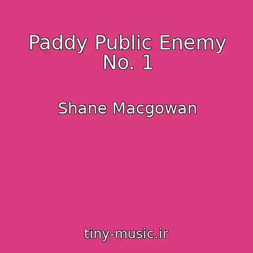 کاور آهنگ Paddy Public Enemy No. 1 از Shane Macgowan