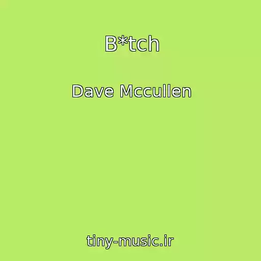 کاور آهنگ B*tch از Dave Mccullen