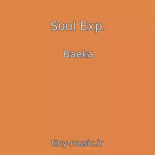 کاور آهنگ Soul Exp. از Baeka