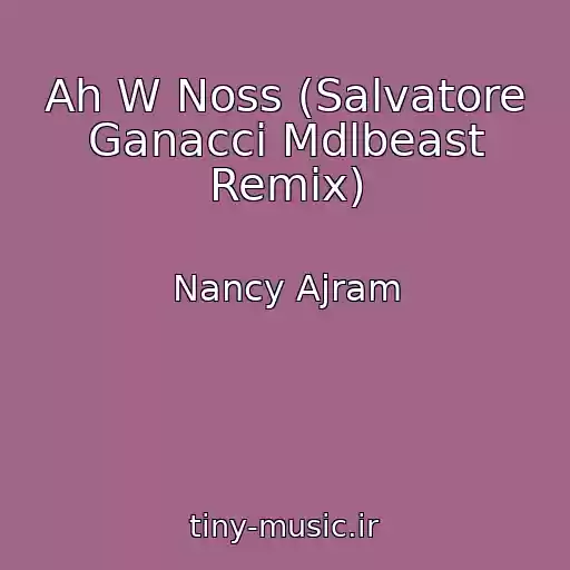 کاور آهنگ Ah W Noss (Salvatore Ganacci Mdlbeast Remix) از Nancy Ajram
