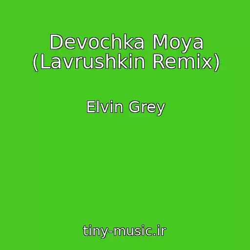 کاور آهنگ Devochka Moya (Lavrushkin Remix) از Elvin Grey