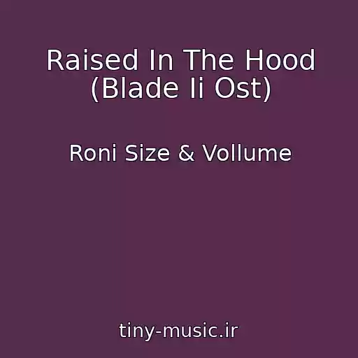 کاور آهنگ Raised In The Hood (Blade Ii Ost) از Roni Size & Vollume