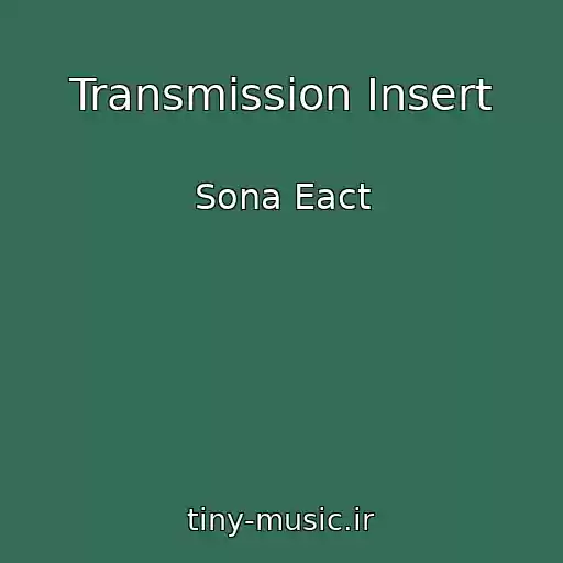کاور آهنگ Transmission Insert از Sona Eact
