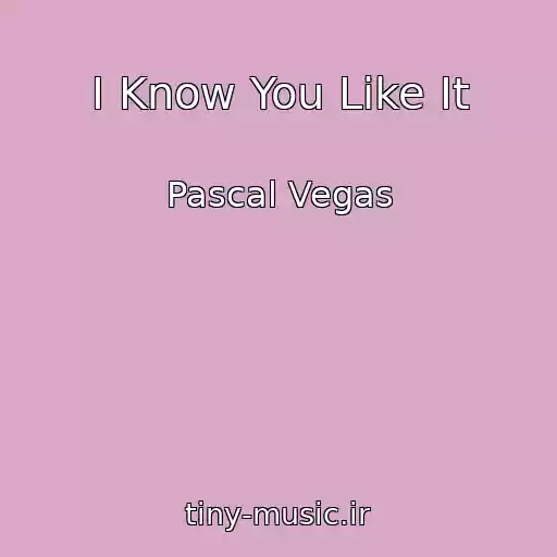 کاور آهنگ I Know You Like It از Pascal Vegas