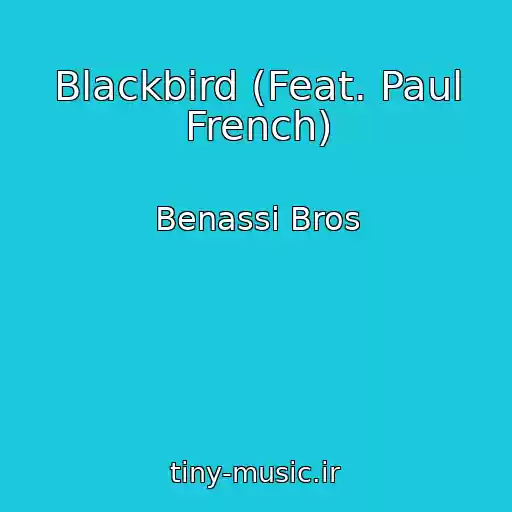 کاور آهنگ Blackbird (Feat. Paul French) از Benassi Bros