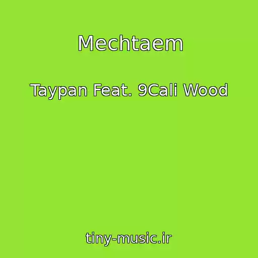 کاور آهنگ Mechtaem از Taypan Feat. 9Cali Wood