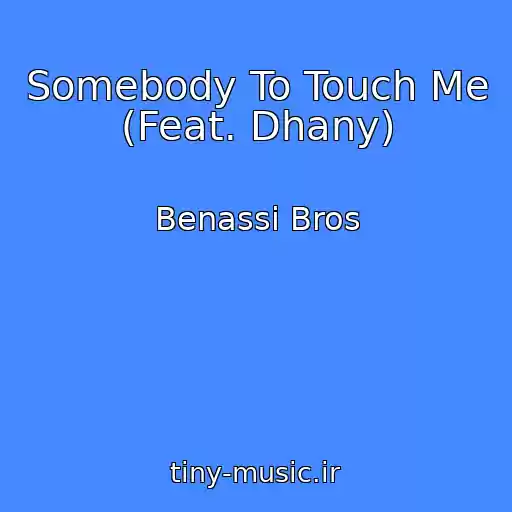 کاور آهنگ Somebody To Touch Me (Feat. Dhany) از Benassi Bros