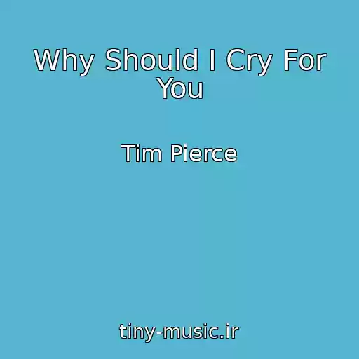 کاور آهنگ Why Should I Cry For You از Tim Pierce