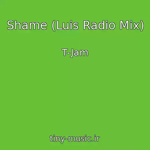 کاور آهنگ Shame (Luis Radio Mix) از T-Jam