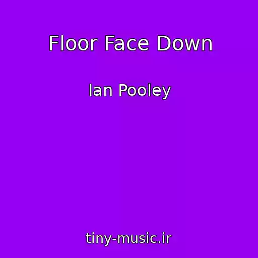 کاور آهنگ Floor Face Down از Ian Pooley