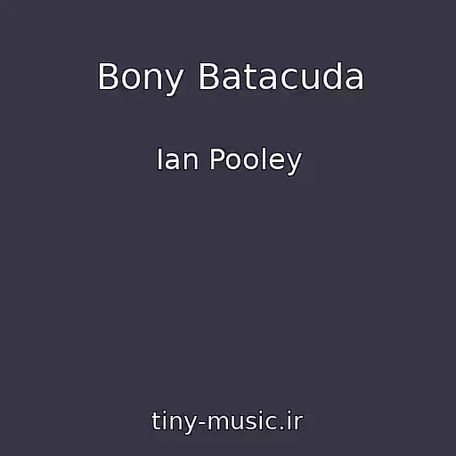 کاور آهنگ Bony Batacuda از Ian Pooley