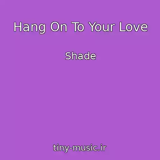 کاور آهنگ Hang On To Your Love از Shade