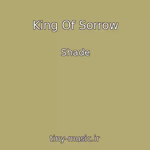 کاور آهنگ King Of Sorrow از Shade