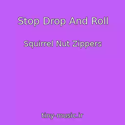 کاور آهنگ Stop Drop And Roll از Squirrel Nut Zippers