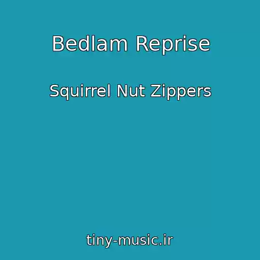 کاور آهنگ Bedlam Reprise از Squirrel Nut Zippers