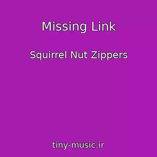 کاور آهنگ Missing Link از Squirrel Nut Zippers