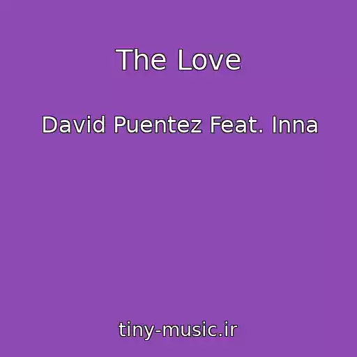 کاور آهنگ The Love از David Puentez Feat. Inna