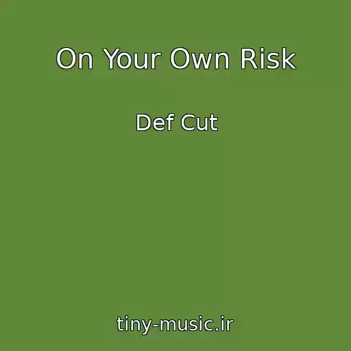 کاور آهنگ On Your Own Risk از Def Cut
