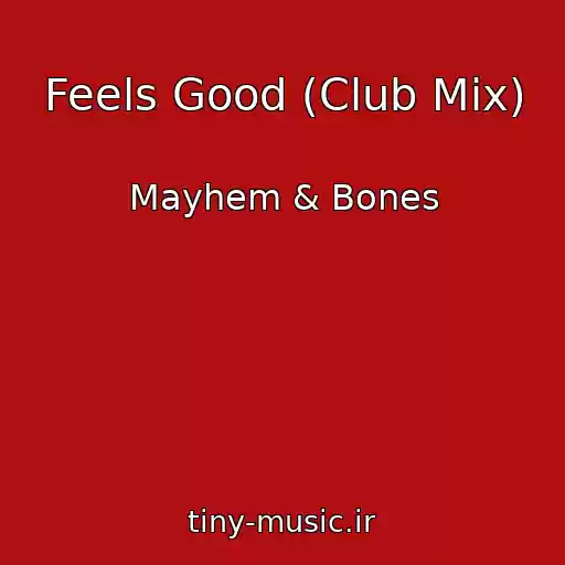 کاور آهنگ Feels Good (Club Mix) از Mayhem & Bones