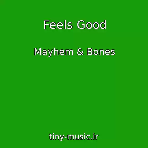 کاور آهنگ Feels Good از Mayhem & Bones