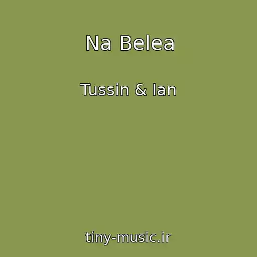 کاور آهنگ Na Belea از Tussin & Ian