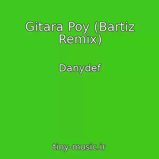 کاور آهنگ Gitara Poy (Bartiz Remix) از Danydef