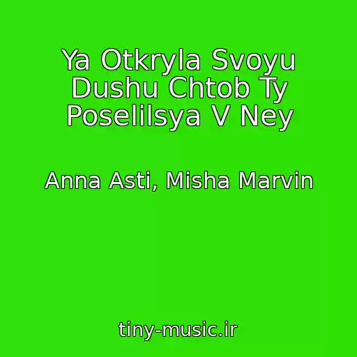 کاور آهنگ Ya Otkryla Svoyu Dushu Chtob Ty Poselilsya V Ney از Anna Asti, Misha Marvin