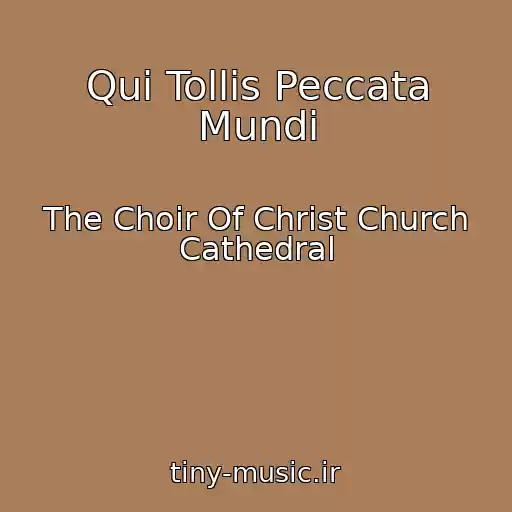 کاور آهنگ Qui Tollis Peccata Mundi از The Choir Of Christ Church Cathedral