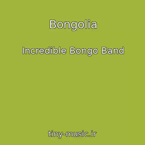 کاور آهنگ Bongolia از Incredible Bongo Band